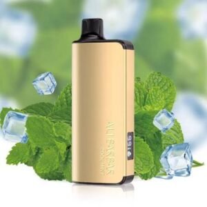 Alibarbar INGOT 9000 Cool Mint